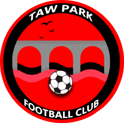 Taw Park badge